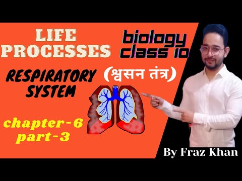 Respiratory System | Respiration | Trachea | Cbse Biology Class 10 | By Fraz Khan | Khan study point