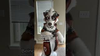 Fursuit follow me eyes #furry #furries #fursona #fursuit #tiktok #furrytiktok #cute