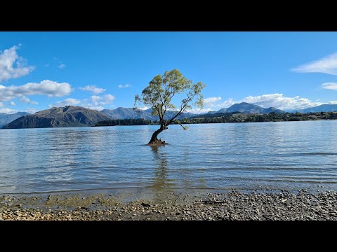 EXPLORING LAKE WANAKA #THATWANAKATREE