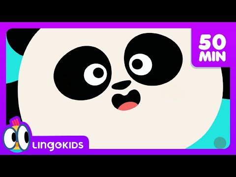 Five Senses Song + More Songs for Kids 🌈  Lingokids