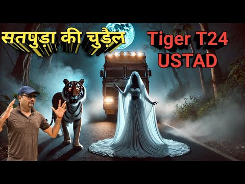 सतपुड़ा की चुड़ैल । Tiger Ustad Of Ranthambore । Night Drive । Night  Horror Story । डरावनी कहानी