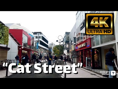 【4K】”Cat Street” (Harajuku) Tokyo - December 2023