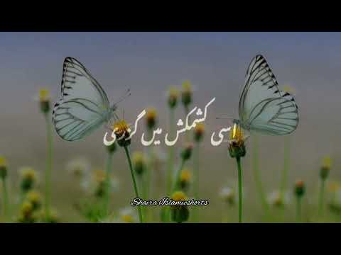 "Allah" Kehte Hai 🥀 | Islamic WhatsApp Status |