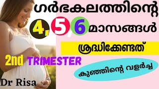 Pregnanacy Care  for Second Trimester Malayalam | 4-6 Month of Pregnancy | Pregnancy Care Tips