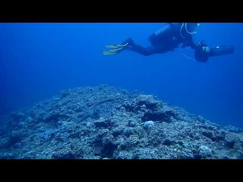 DPV Dive Small Beach Detect Okinawa