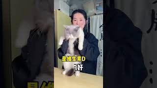 猫咪养的好我，维生素不能少#新手养猫 #掉毛 #宠物维生素 猫奴十三