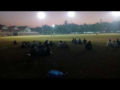 cricket highlights