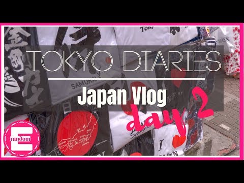 Tokyo Diaries | Japan Vlog 2 | Meeting Mara and Walk through Tokyo!