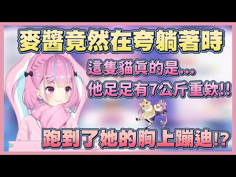 【麥醬胸部星人!?】注意看 這隻小麥真的太狠了【湊阿庫婭】【Vtuber翻譯】