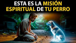 MISIÓN ESPIRITUAL de los PERROS | Por Esto Llegó a TU VIDA