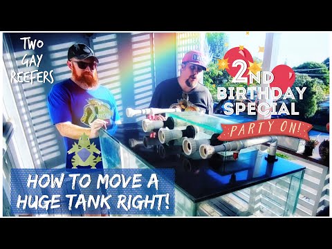 How To Move A Huge Tank Right! Hints and Tips to Help You Relocate an Aquarium