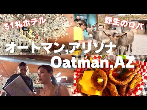 【アメリカ🇺🇸アリゾナ州】ラスベガスから2時間半のオートマンっていう街に行ってきたVlog🚗｜Oatman,AZ