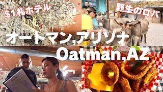 【アメリカ🇺🇸アリゾナ州】ラスベガスから2時間半のオートマンっていう街に行ってきたVlog🚗｜Oatman,AZ