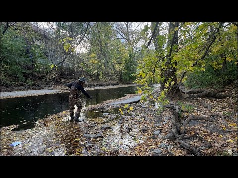 Badger Exploration is LIVE Magnet Fishing in Chicago: Unearthing SCARY Finds! #magnetfishing #fyp