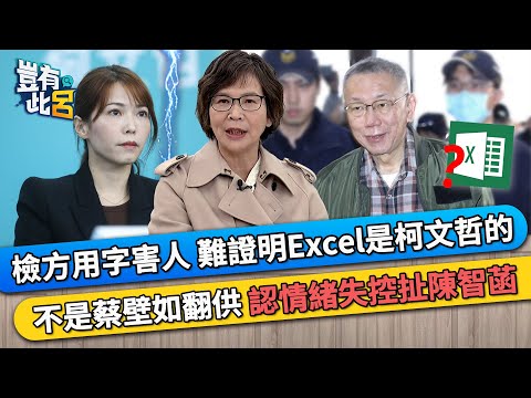 檢方用字害人難證明Excel是柯文哲的 不是蔡壁如翻供 認情緒失控扯陳智菡｜豈有此呂 EP354 精華