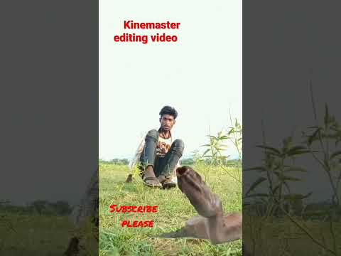 Is KineMaster good for video editing #shorts  #editing