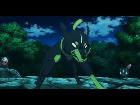 Zygarde ~AMV~ / Courtesy Call