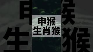 屬相猴的貴人、朋友、合作夥伴！ #易學#國學#生肖#屬相