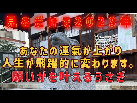 『三輪神社』※なでると人生を幸運へと導いてくれる福兎※うさぎ神社🐇