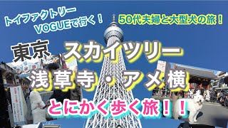 【大型犬連れの東京観光はこうなります！】観光名所をとにかく歩いて巡る旅(笑)  50代夫婦の歩き過ぎな1日！