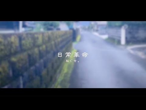 ねぐせ。 / 日常革命　歌う。　涙底滲む。