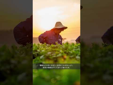 【アムウェイ ボタニカルリサーチセンター】植物研究の理想郷が中国・無錫に？  #アムウェイ #ニュートリライト