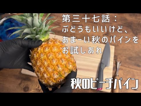 【第三十七話】秋でもパインがちゃんと育つ！？ 〜 秋のピーチパイン 〜