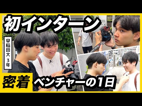 26卒早稲田生を人手不足のベンチャー企業で1日採用してみた | 初めてのサマーインターン