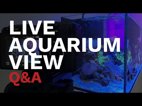 Waterbox MARINE X 110.4 Live Stream Q&A Chat.