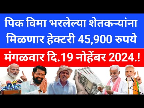 Pik Vima 2024 Maharashtra | pik vima 2024 fixed date | 2024 चा पीक विमा कधी मिळणार आहे | news 2024