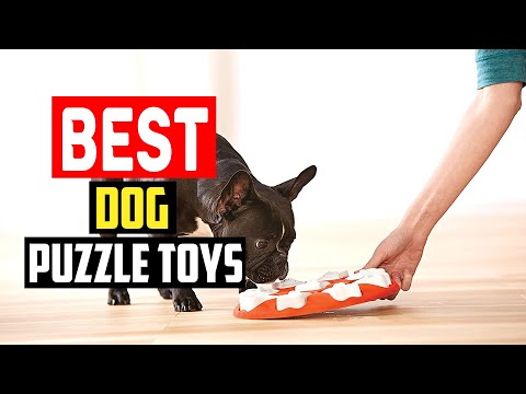 ✅Top 5 Best Dog Puzzle Toys in 2023