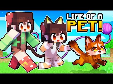 BEST of Having a PET LIFE in Minecraft! ( Tagalog )