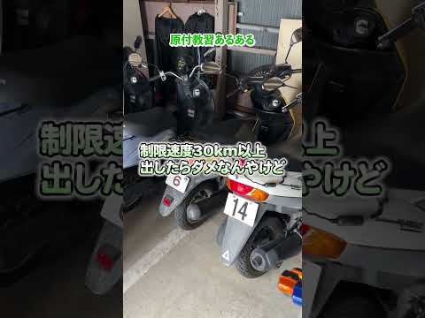 バイクナンバープレートの三角マークの意味 #教習所チャンネル #教習所あるある #教習所 #運転 #車 #免許 #automobile