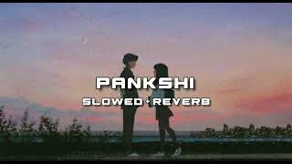 Pankshi Song | New Cg Song | Slowed + Reverb | Cg LoFi Mix Song | #slowedreverb #lofi