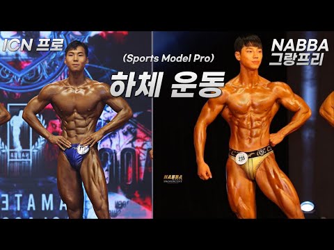 펼쳐지고 갈라지는 하체를 원하면 시도하세요 | Feat 익스텐션 꿀팁