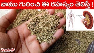 వాము గురించి ఈ రహస్యం తెలిస్తే ! || #Ajwain Best Health Benefits and Uses | #Vamu uses | #Ajwain