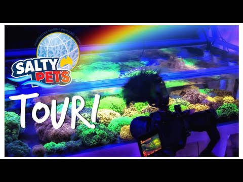 Salty Pets Tour - ReefStock Teaser!