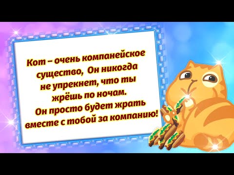 Кото-Позитивчик Для Моих Друзей. Анекдоты Про Котов. Юморок.