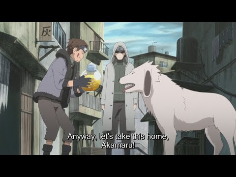 SHINO ABURAME AND KIBA INUZUKA ON ADVENTURE TO FIND HONEY WINE FOR NARUTO AND HINATA'S WEDDING