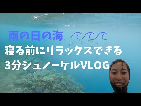 【寝る前にリラックスできる3分シュノーケルVLOG】