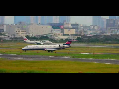 みぞか号！C3-PO機、ディズニー・ファンタジア機！スタアラ機！伊丹空港ライブ配信 Osaka International Airport 12/11/2024