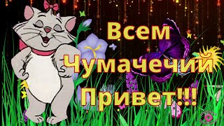 Лови Приветик! Улыбнись Мне! Как Твои Дела? Прикольная и Позитивная Музыкальная Открытка для Тебя!