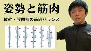 【姿勢改善・歪み改善で知っておきたい筋肉バランス】現代人の多くの方の姿勢パターンに共通する体幹・股関節周りの筋肉のアンバランス！【愛媛県松山市　ピラティス・整体】