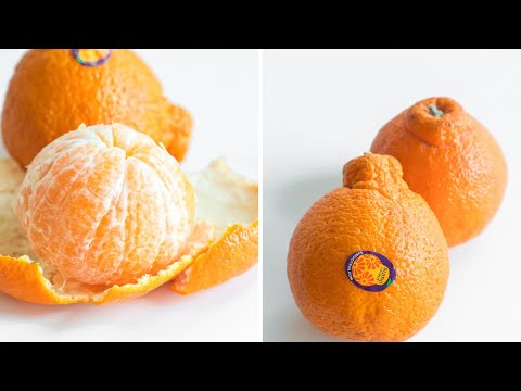 Sumo Citrus Mandarin Oranges, seedless and sweet!