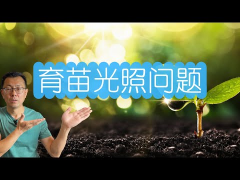 种子发芽要避光吗？育苗种子能晒太阳吗？很多人都理解错了！