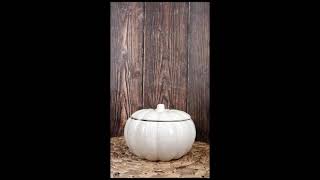 Ebros Ceramic Stoneware White Harvest Pumpkin Bowl With Lid 6"Dia