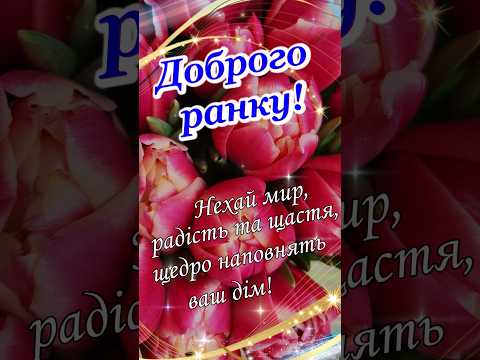 ДОБРОГО РАНКУ І ГАРНОГО ДНЯ! Мирного неба! Гарного настрою!