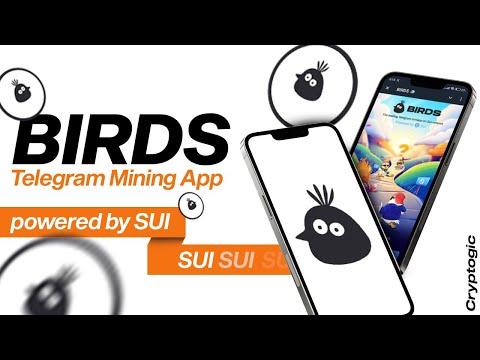 Birds 🐦New Telegram Bot Powered By Sui - Birds Sui Telegram Mini bot Airdrop