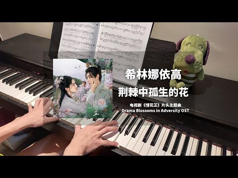 希林娜依高 Curley Gao - 荆棘中孤生的花 钢琴抒情版【惜花芷 Blossoms in Adversity OST】主题片头曲 Piano Cover | 钢琴谱 Piano Sheet