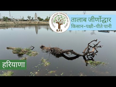 E.F.I Haryana -  तालाब जीर्णोद्धार/Pond Restoration Story